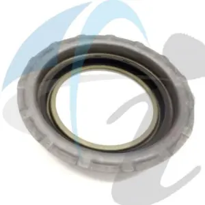 5HP30 ZF PISTON BIG