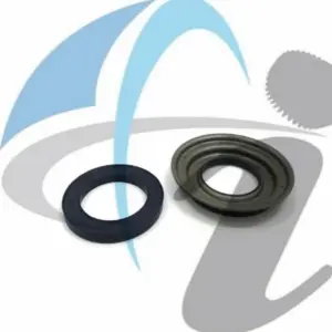 0B5 DL5017Q VW CLUTCH PISTON KIT (AUDI )
