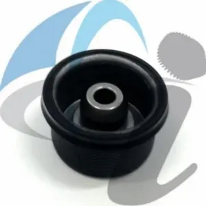 DPO RENAULT BAND SERVO PISTON F2 SMALL