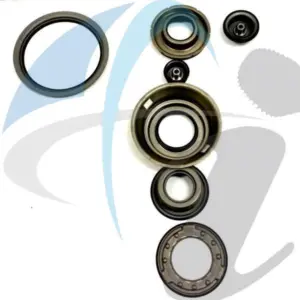 DPO RENAULT CLUTCH PISTON KIT