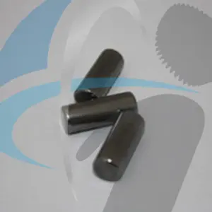 TOYOTA DYNA 5 SPD INNER SPIGOT ROLLERS 12 PER BOX 9mm x 23.5mm